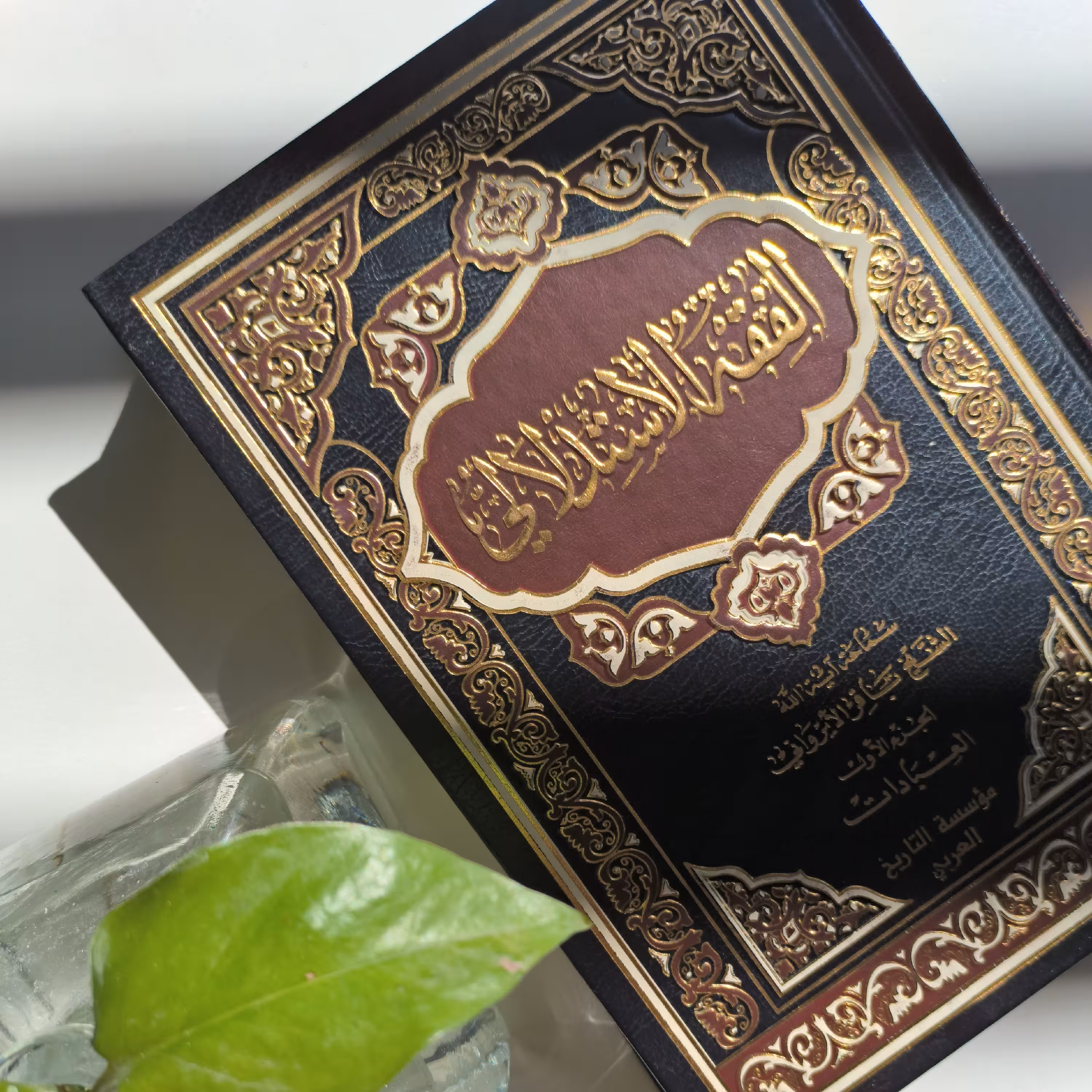 کتاب فقه استدلالی  ایروانی جلد یک و دو  گالینگور  در بسته بندی مخصوص چاپ بیروت 