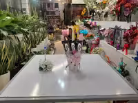 باکس عروسک روسی کلاه صورتی