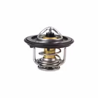 ترموستات فونیکس FX اکسلنت