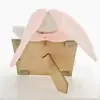 قاب عکس کودک نی نی سیس مدل خرگوش رابیت کد 13x18 PNK