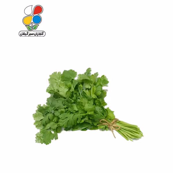 بذر گشنیز بسته بندی کوچک