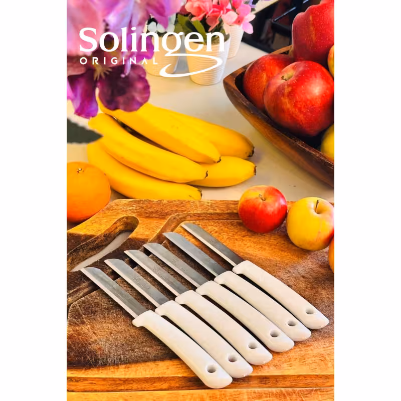 شش عدد چاقوی دندانه دار اصل سولینگن برای میوه و سبزیجات | تیغه فولادی ضدزنگ | دسته پلاستیکی با کیفیت | مجموعه 6 عددی | مناسب برش انواع میوه و سبزی | طراحی ارگونومیک