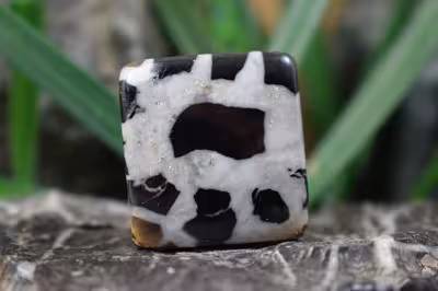 سپتارین مراکش اصل و طبیعی