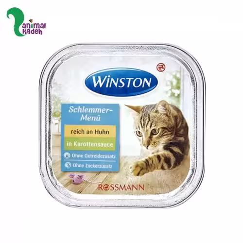 ووم وینستون گربه با طعم مرغ در سس هویج 100 گرم