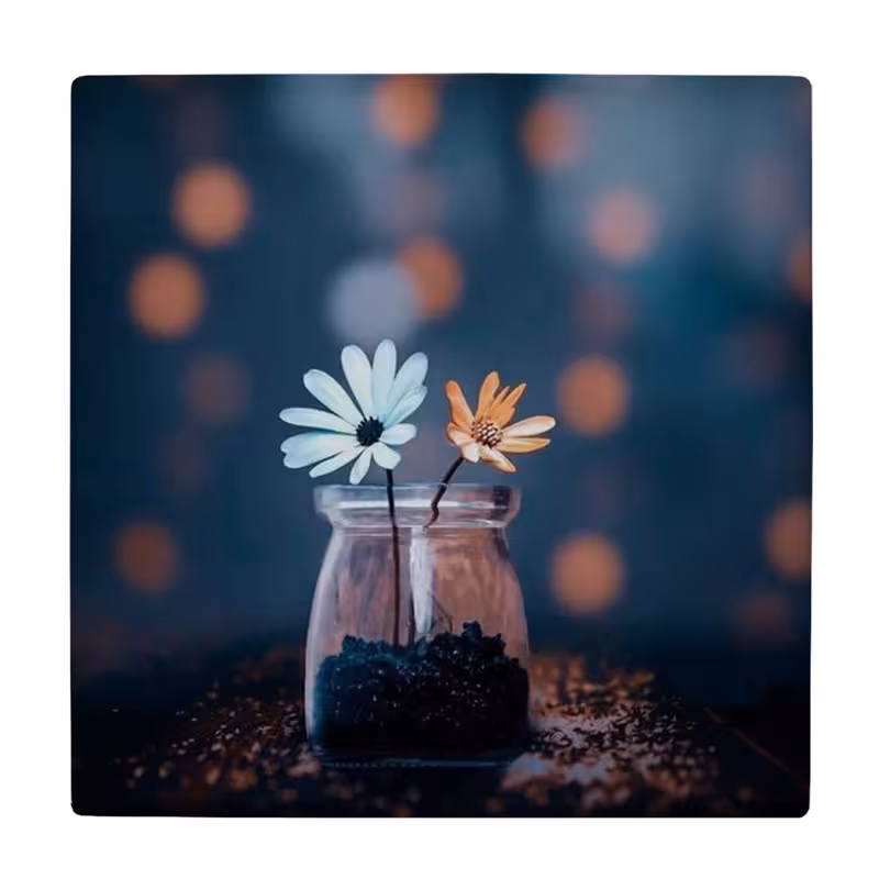 زیر لیوانی طرح گلدان شیشه ای و گل کد    4046092_2492