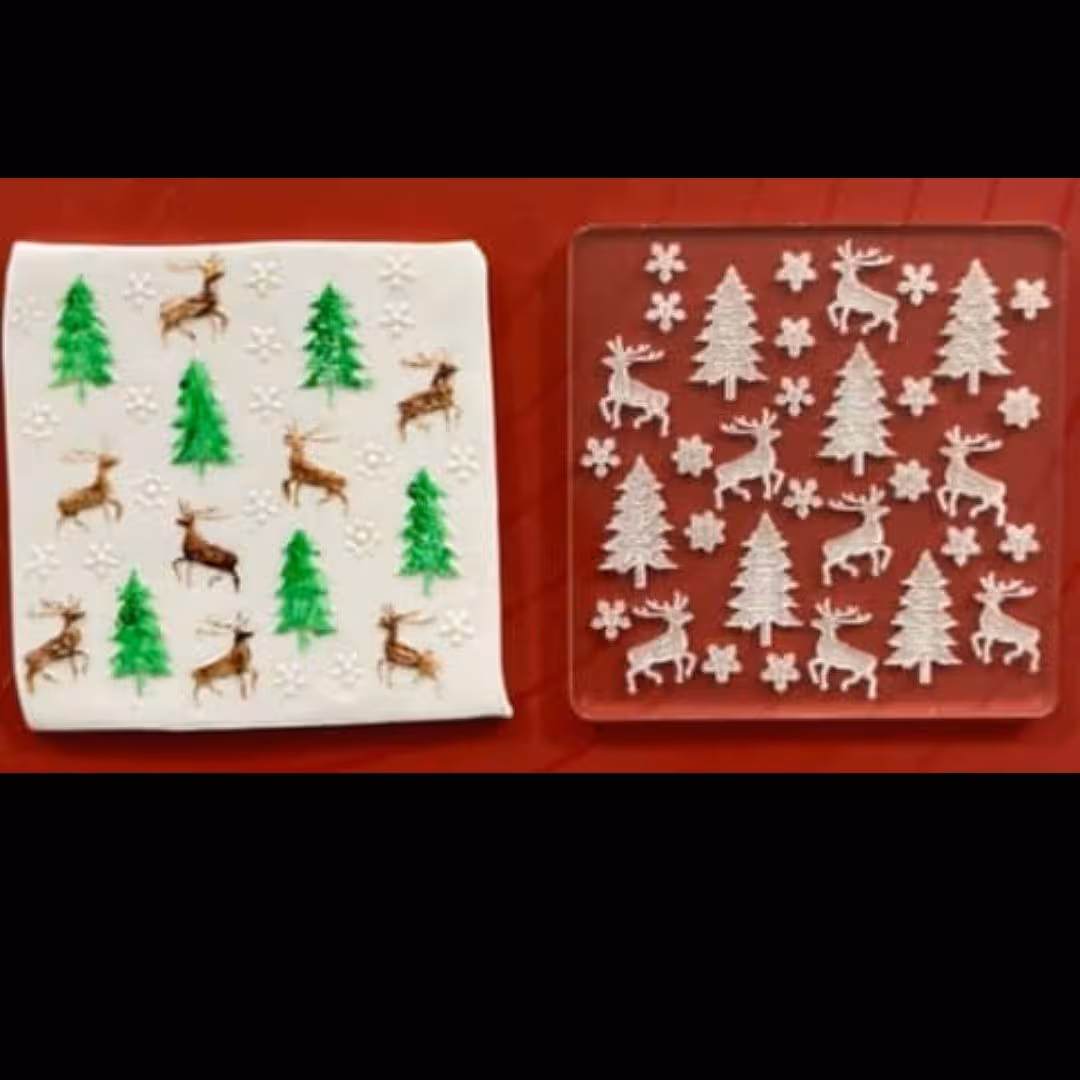 استامپ درخت کاج استامپ زمستانی