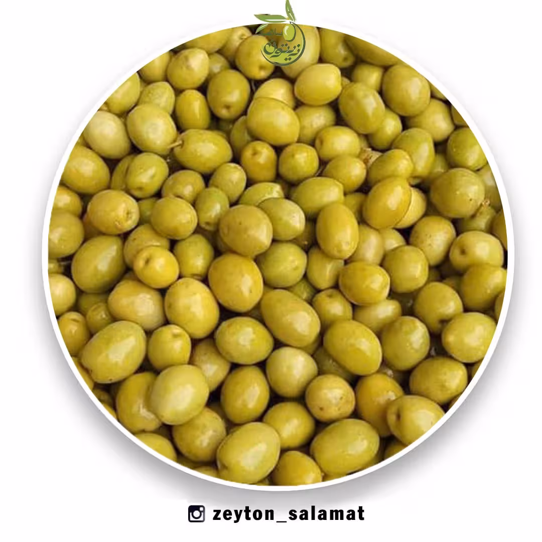 زیتون باهسته ممتاز و خوش طعم 100 کیلویی