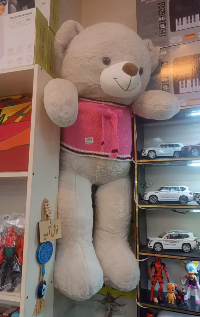 خرس بزرگ یک و شصت سانتی جذاب