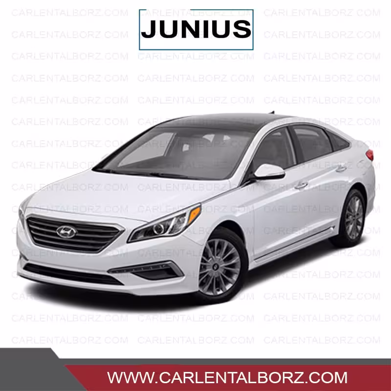 لنت ترمز جلو سوناتا LF جونیوس JUNIUS