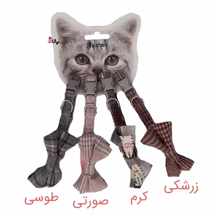 قلاده پاپیونی سگ