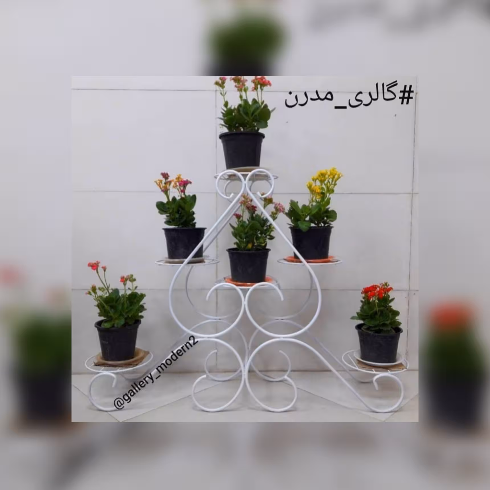 استند گل رنگ کوره ای