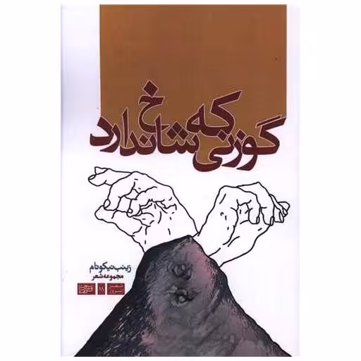 کتاب گوزنی که شاخ ندارد اثر زینب نیکونام