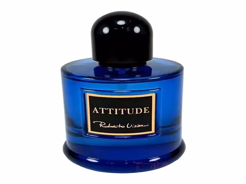 ادکلن مردانه روبرتو ویزاری اتیتود roberto vizzari ATTITUDE