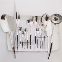 سرویس قاشق چنگال 30 نفره اس جی مدل 249m