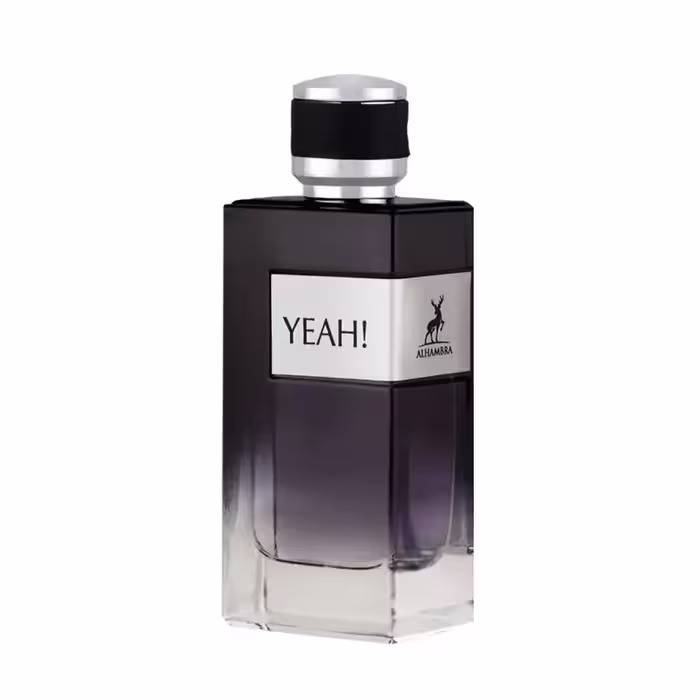 ادکلن یاه الحمبرا Alhambra Yeah (ایـو سن لـورن وای Yves-Saint-Laurent Y) نقره‌ای