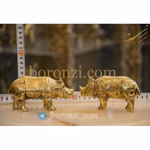 کرگدن برنزی