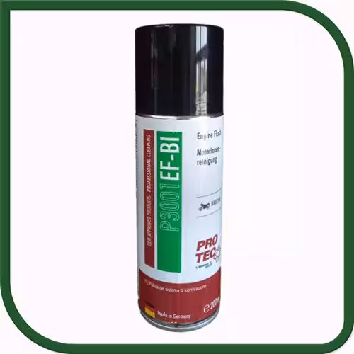 موتور شوی پروتک مخصوص موتور سیکلت  P3001 EF-BI-فروشگاه اینترنتی کارنوئل CARnoel