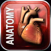 Doctors In Training – Solid Anatomy Videos - کتاب پزشکی بهار