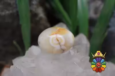 عقیق باباقوری