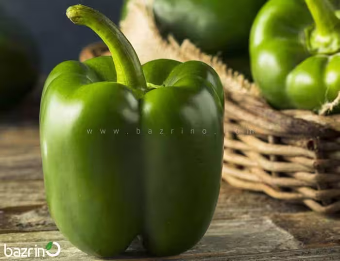 بذر فلفل دلمه ای سبز