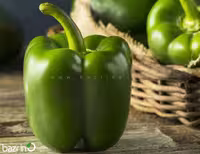 بذر فلفل دلمه ای سبز