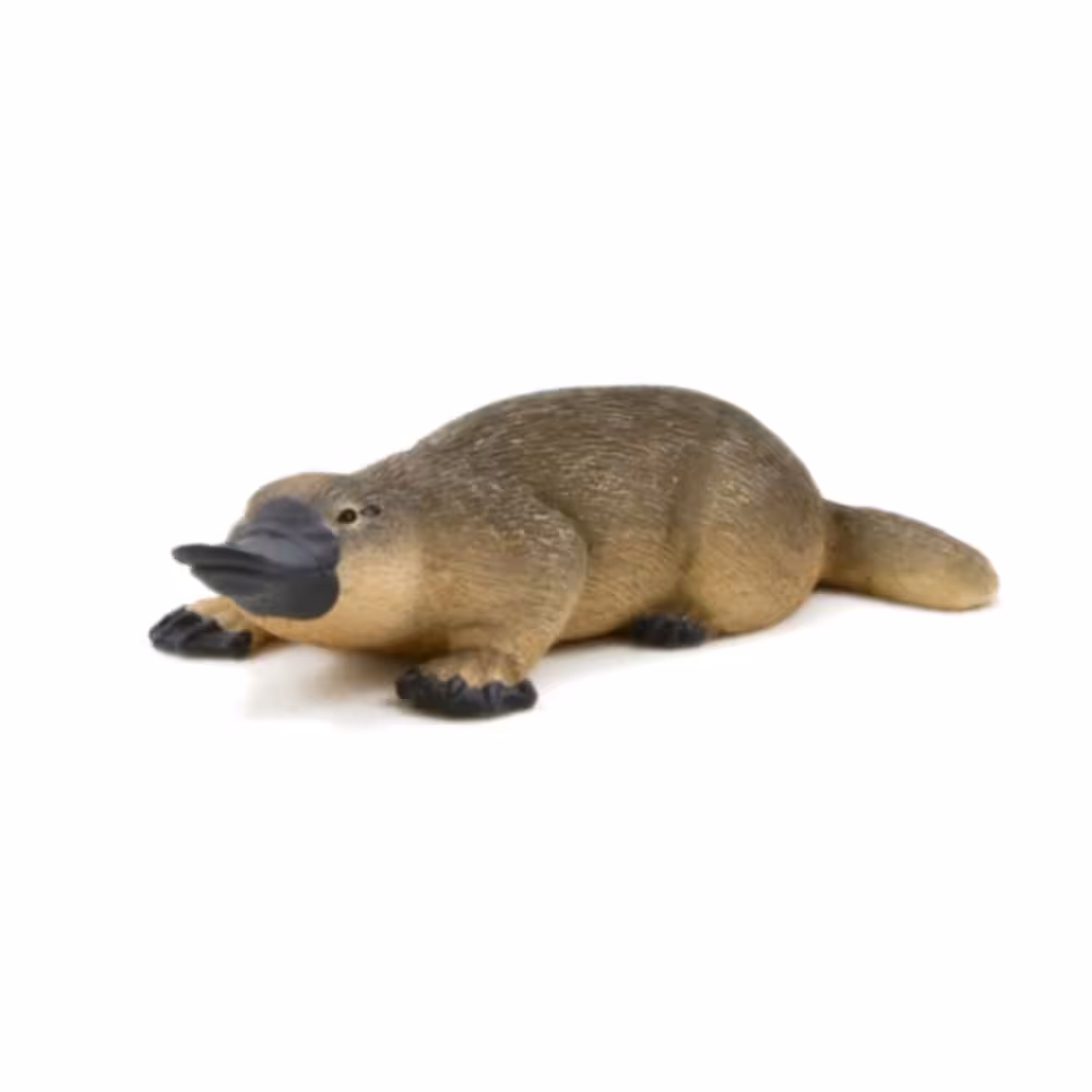 فیگور پلاتیپوس Duck Billed Platypus MOJO