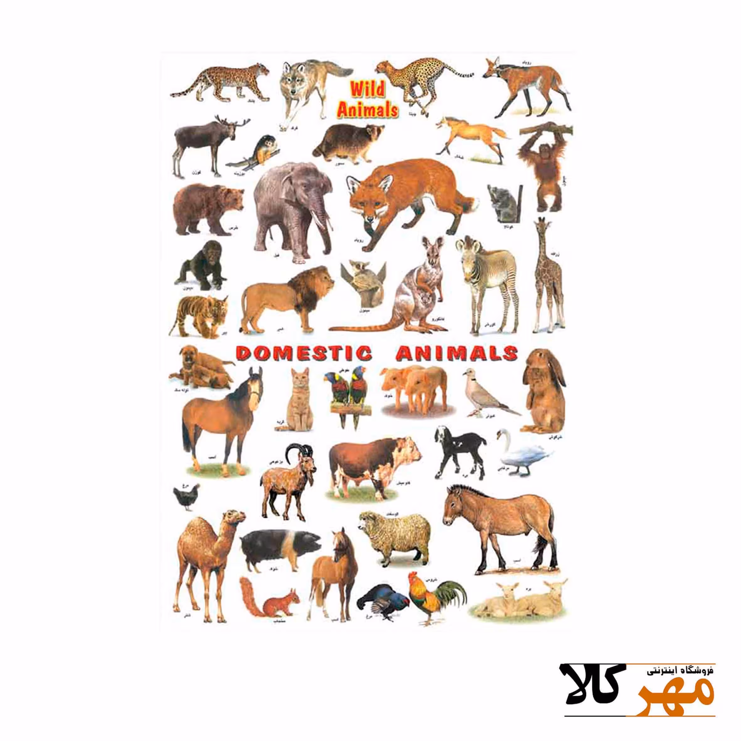 برچسب آموزشی حیوانات