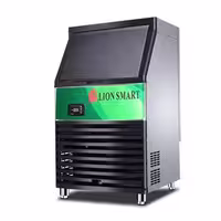 یخساز 60 کیلویی اسمارت SMART 60