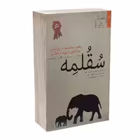 کتاب سقلمه اثر ریچارد اچ تیلر انتشارات شفاف