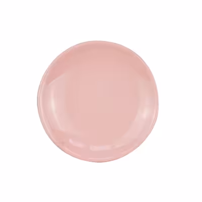 بشقاب سرامیکی طرح پلوخوری مدل پاستلو بسته 6 عددی