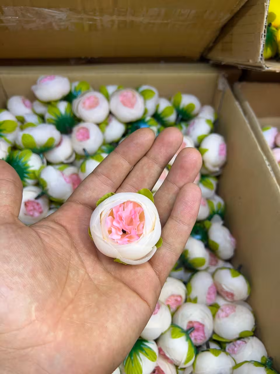 سرگل پیونی سایز کوچک رنگ داخل صورتی 10عددی