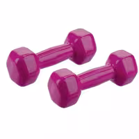 دمبل کد R2 وزن 2 کیلوگرمی بسته 2 عددی | کالا مکس