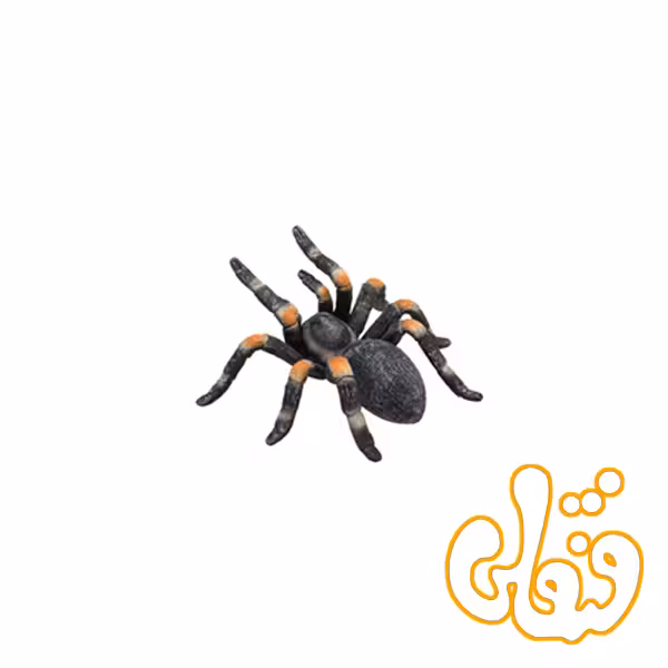 رطیل پا قرمز Red Kneed Tarantula 387213