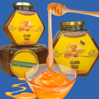 عسل معمولی مطهر یک کیلویی 
