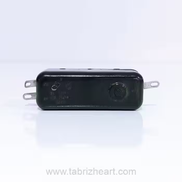 میکروسوئیچ سه پایه 250 ولت | Microswitch