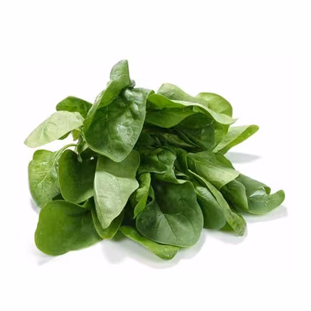 اسفناج تازه 1000 گرمی