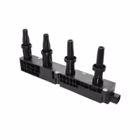 کوئل رانا و پژو 207