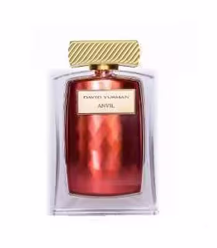 عطر و ادکلن مردانه دیوید یورمن انویل ادو پرفیوم David Yurman Anvil EDP for men