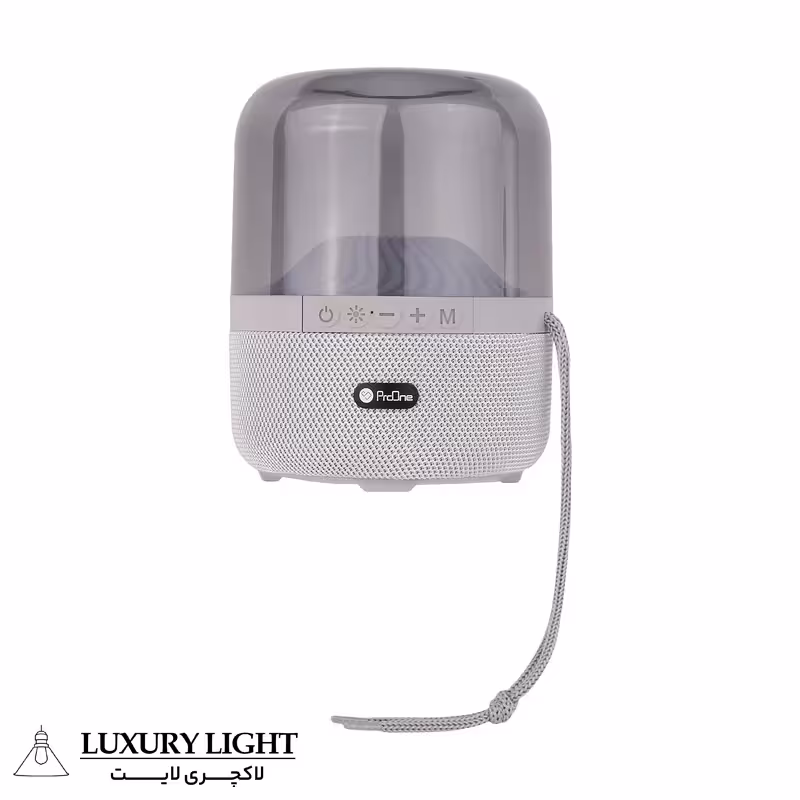 اسپیکر قابل حمل ProOne مدل PSB4118
