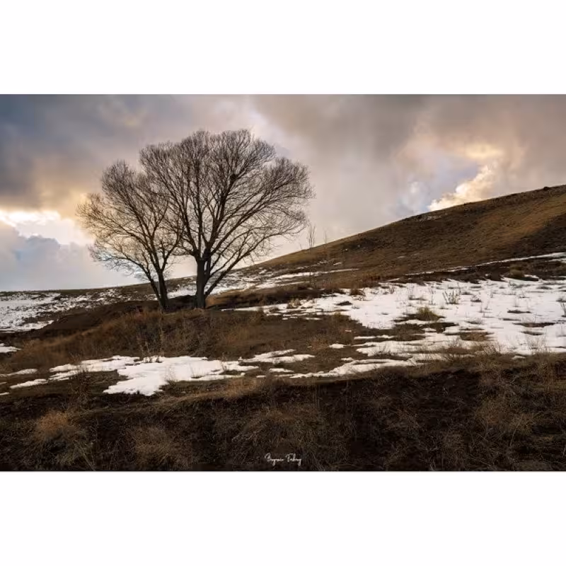 تابلو شاسی کد benpics-0089 (ابعاد 70x50 - شاسی 8 میل-کاغذ سیلک-اصالت تصویر)