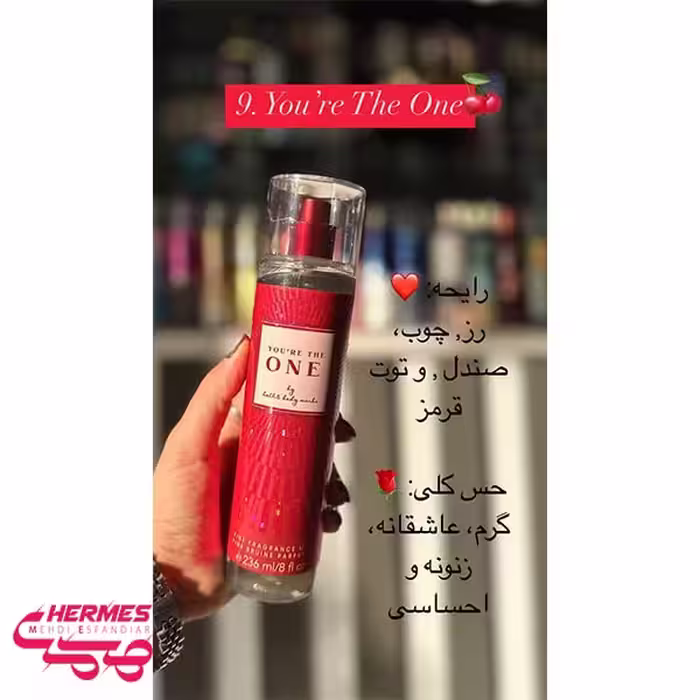خرید و قیمت بادی میست بث اند بادی ورکز یو آر د وان You're the One