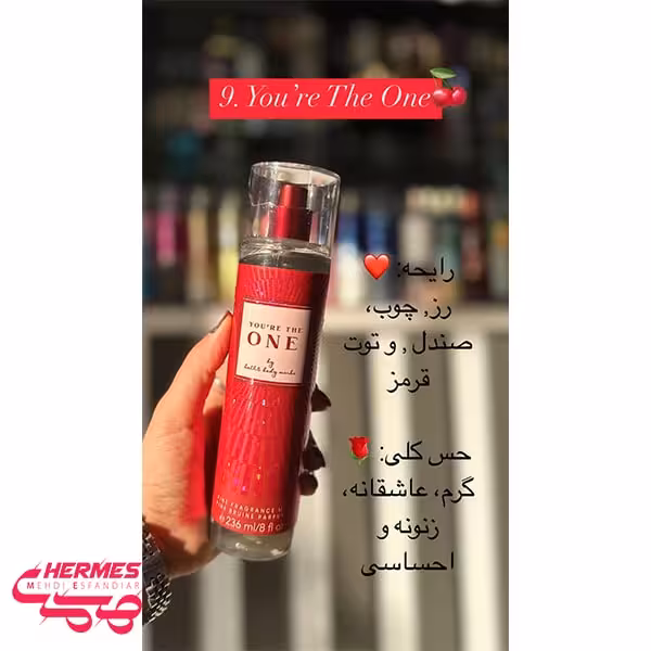خرید و قیمت بادی میست بث اند بادی ورکز یو آر د وان You're the One