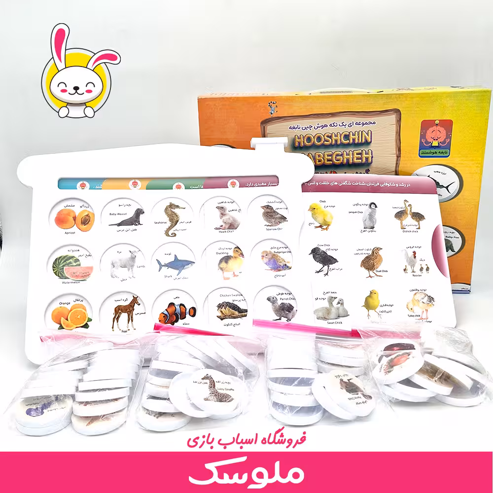 اسباب بازی آموزشی هوش چین یک تکه