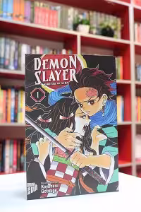 Demon Slayer Vol.1 اثر Koyoharu Gotouge