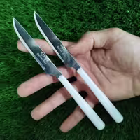 چاقو میوه خوری MTG باکسی مدل 1480 کد 2 بسته 12 عددی