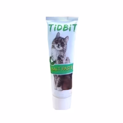 خمیر مالت گربه تیدبیت مدل chicken وزن 110 گرم