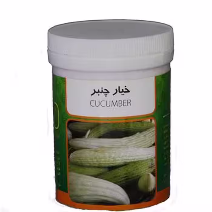 بذر خیار چنبر رامان