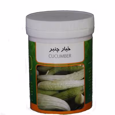 بذر خیار چنبر رامان