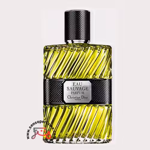 عطر ادکلن دیور او ساواج پرفیوم 2017 مردانه | 2017 dior eau sauvage parfum