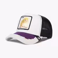 کلاه گورین مدل Silky Chick